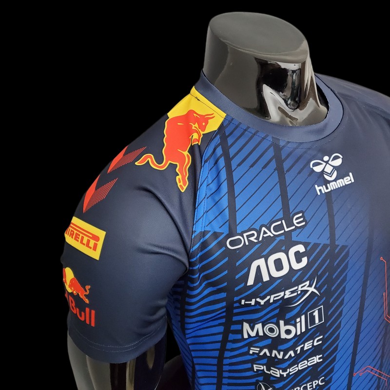 F1 Red Bull Gaming Edition 