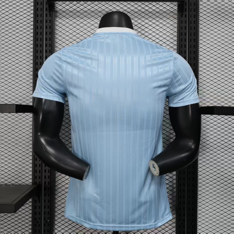 Player Version 2025 Adidas Original Light Blue T-Shirt