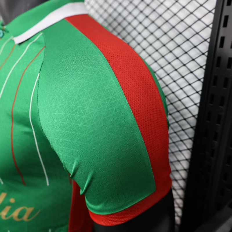 Player Version 25/26 CD Palestina Green Jersey