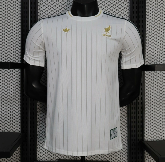 Player Version 2026 Mexico White Terrace Icons White Jersey